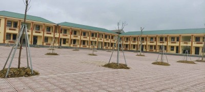 Trường TH&THCS Hợp Thành hưởng ứng Tết trồng cây – Gieo mầm xanh, vun đắp tương lai